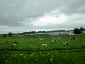 Imagen de Holanda- rural- desde el coche